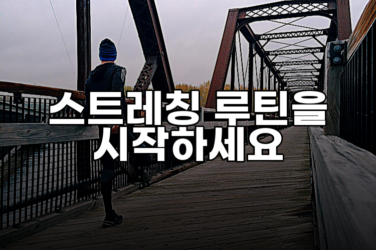 스트레칭 루틴을 시작하세요