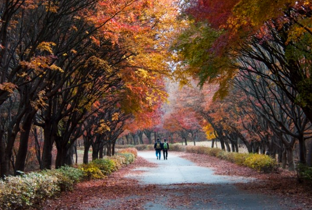 천안 1인 가구에 맞는 동네 추천 &mdash; 천안 1인 가구가 동네를 고르는 일이 중요한 이유