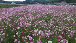 추석연휴 가볼만한 곳 전국 축제 행사