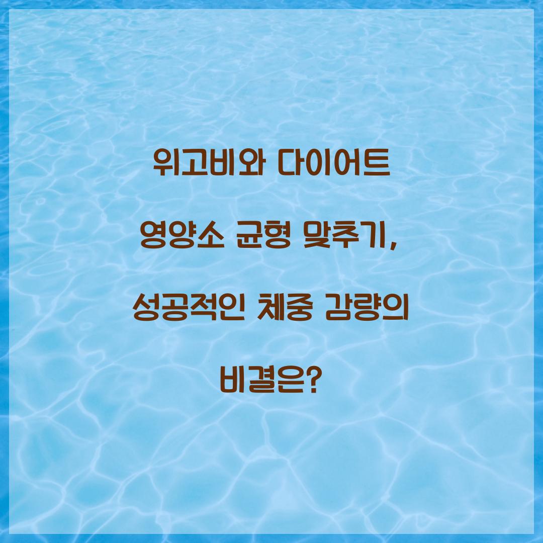 위고비와 다이어트 영양소 균형 맞추기