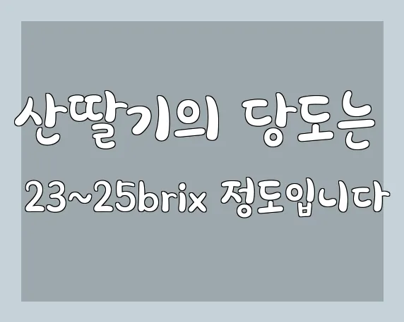 산딸기의 당도는 23~25brix 정도입니다