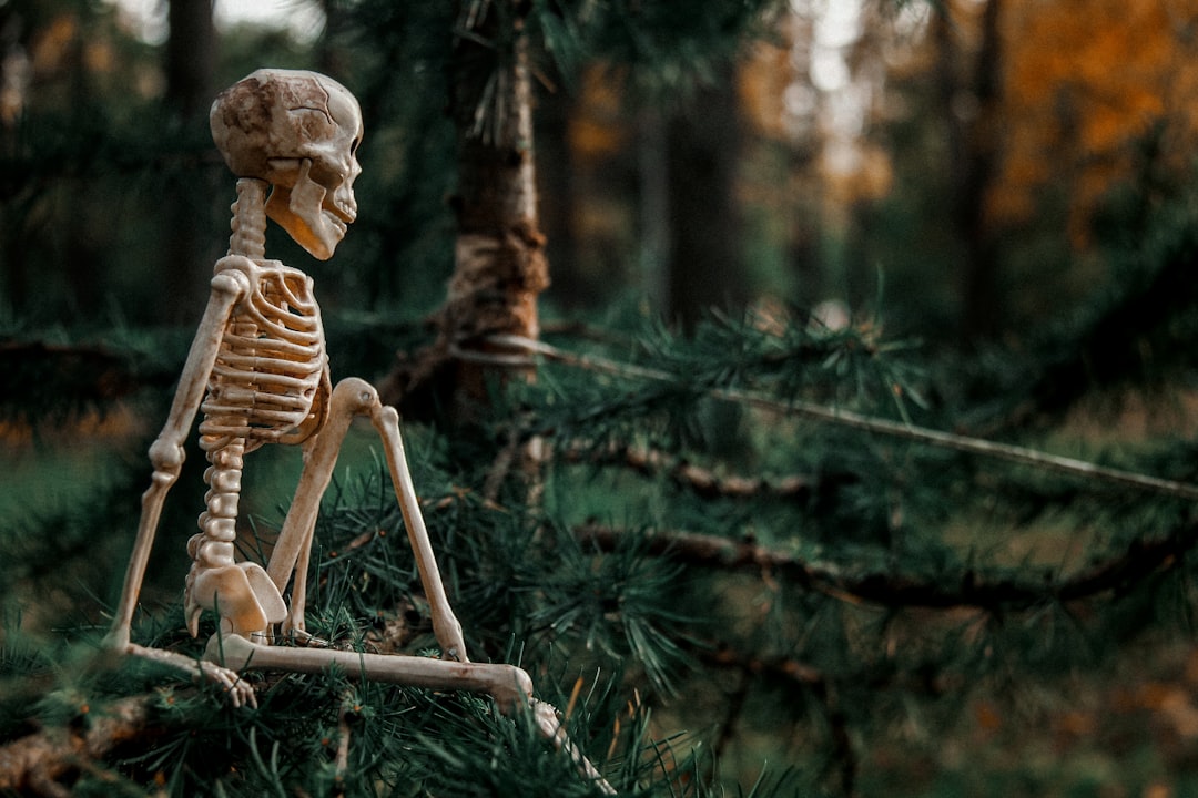 Waiting period.