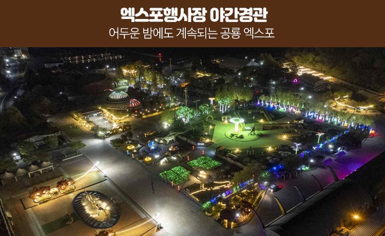 공룡엑스포 안내 