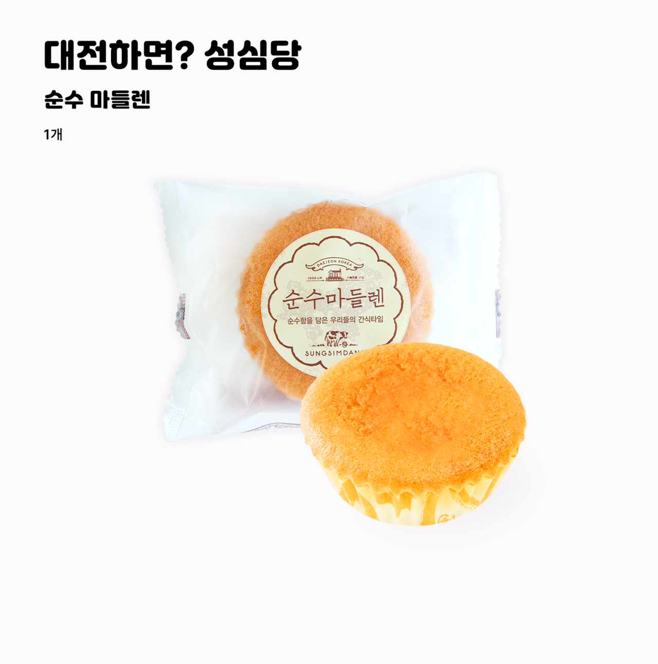 빵빵런2025 대전 마라톤 참가신청 기념품 셔틀버스 총정리