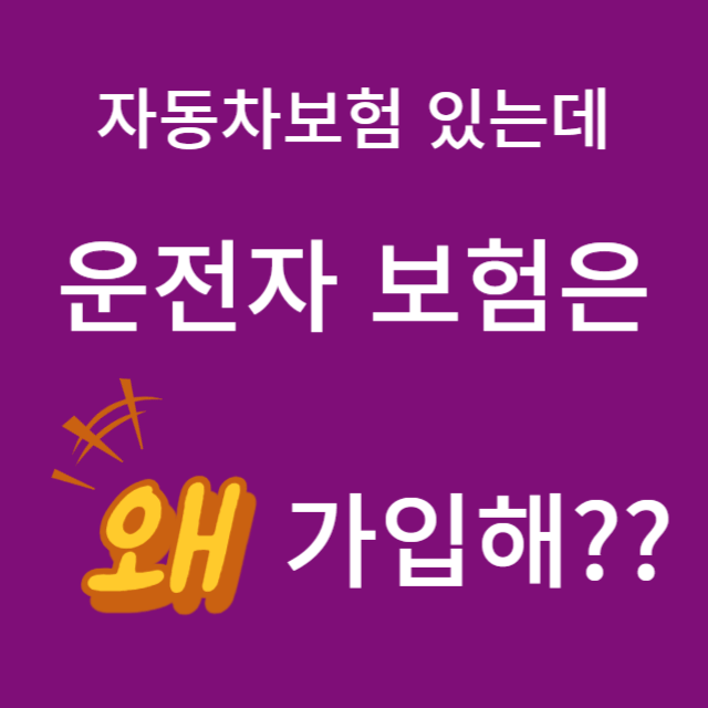 운전자보험의 필요성