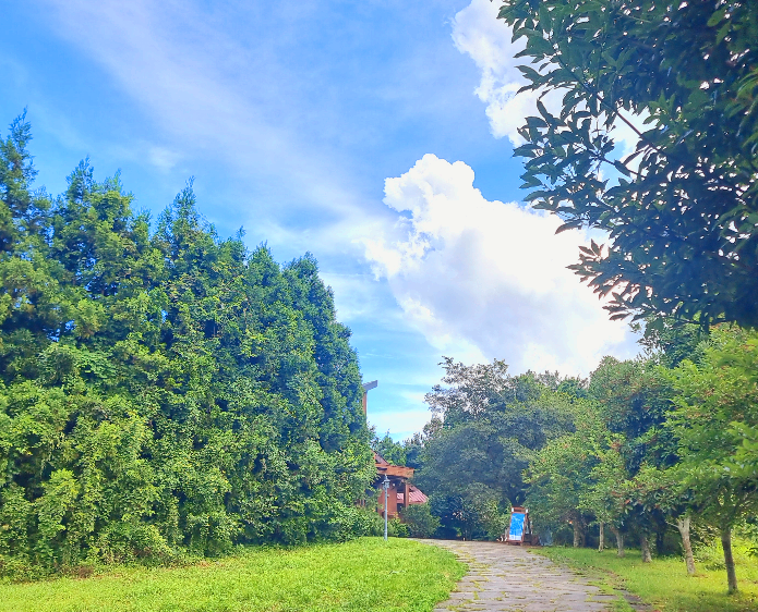 제주도 소길별하가 보이기 시작 풍경이 너무좋음