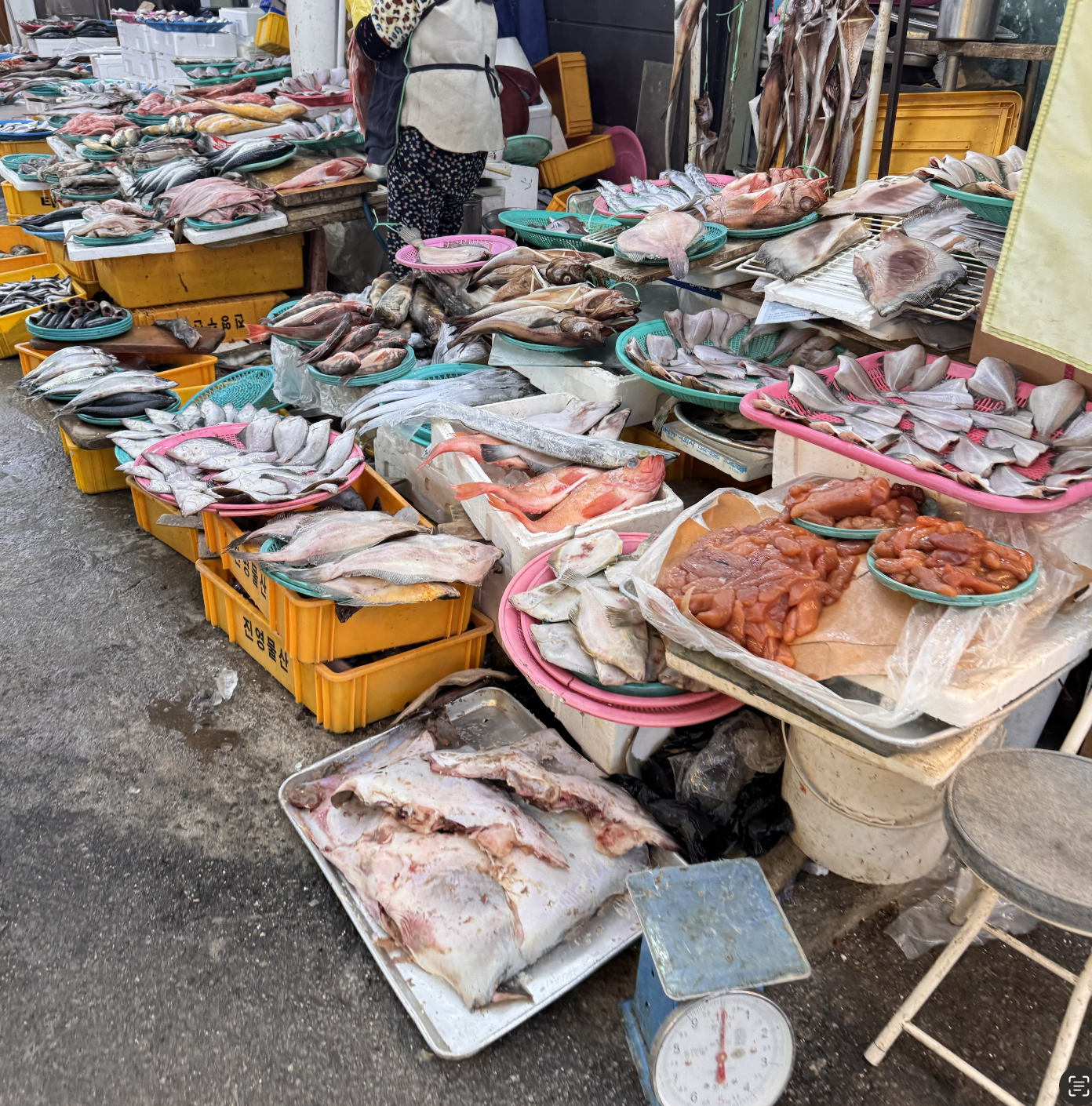 어느 시장에서 생선을 팔고 있는 할머니와 그 주변에 다양한 종류의 생선이 진열되어 있는 풍경