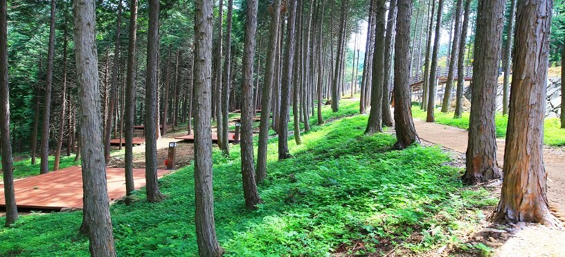 사천 케이블카 자연휴양림