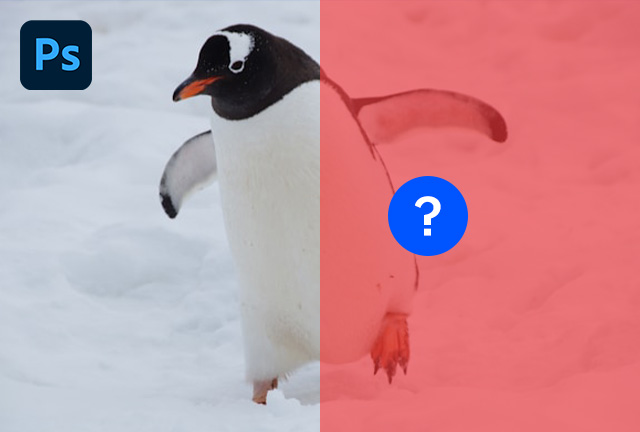 포토샵 퀵마스크 모드 풀기