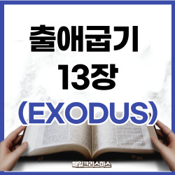 출애굽기 13장 1~22절 요약 [구약성경문제]