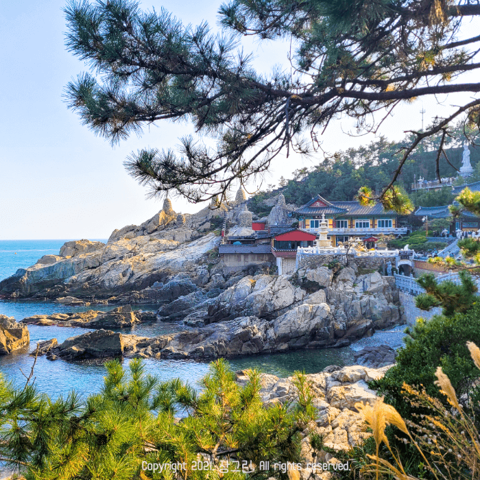 부산기장-국내여행지-추천할만한-용궁사