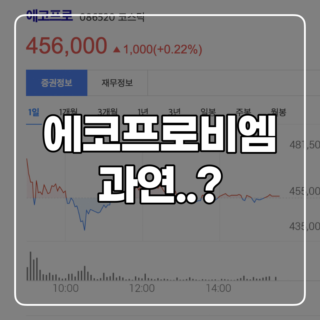 에코프로비엠 전망