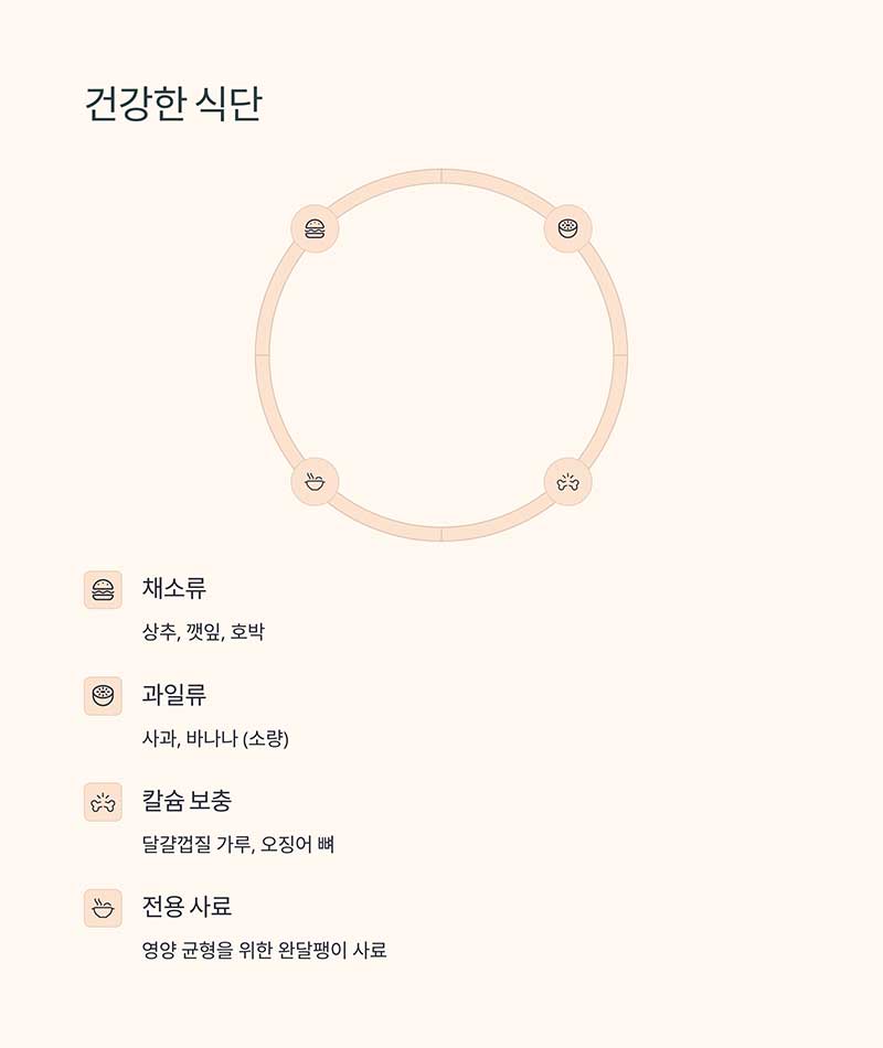 사료 관리: 건강을 지키는 첫걸음