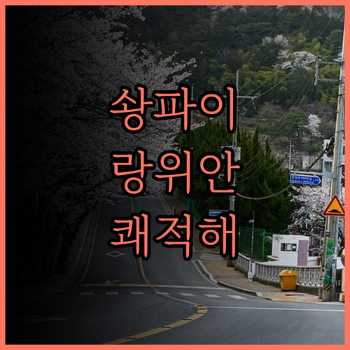 솽파이 랑위안 호텔 찐 후기 쾌적한 