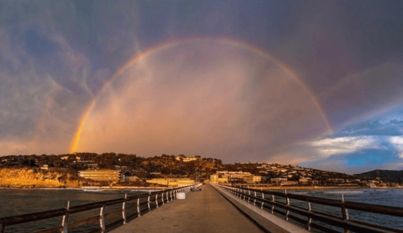 캘리포니아 대학교 샌디에이고(UCSD)