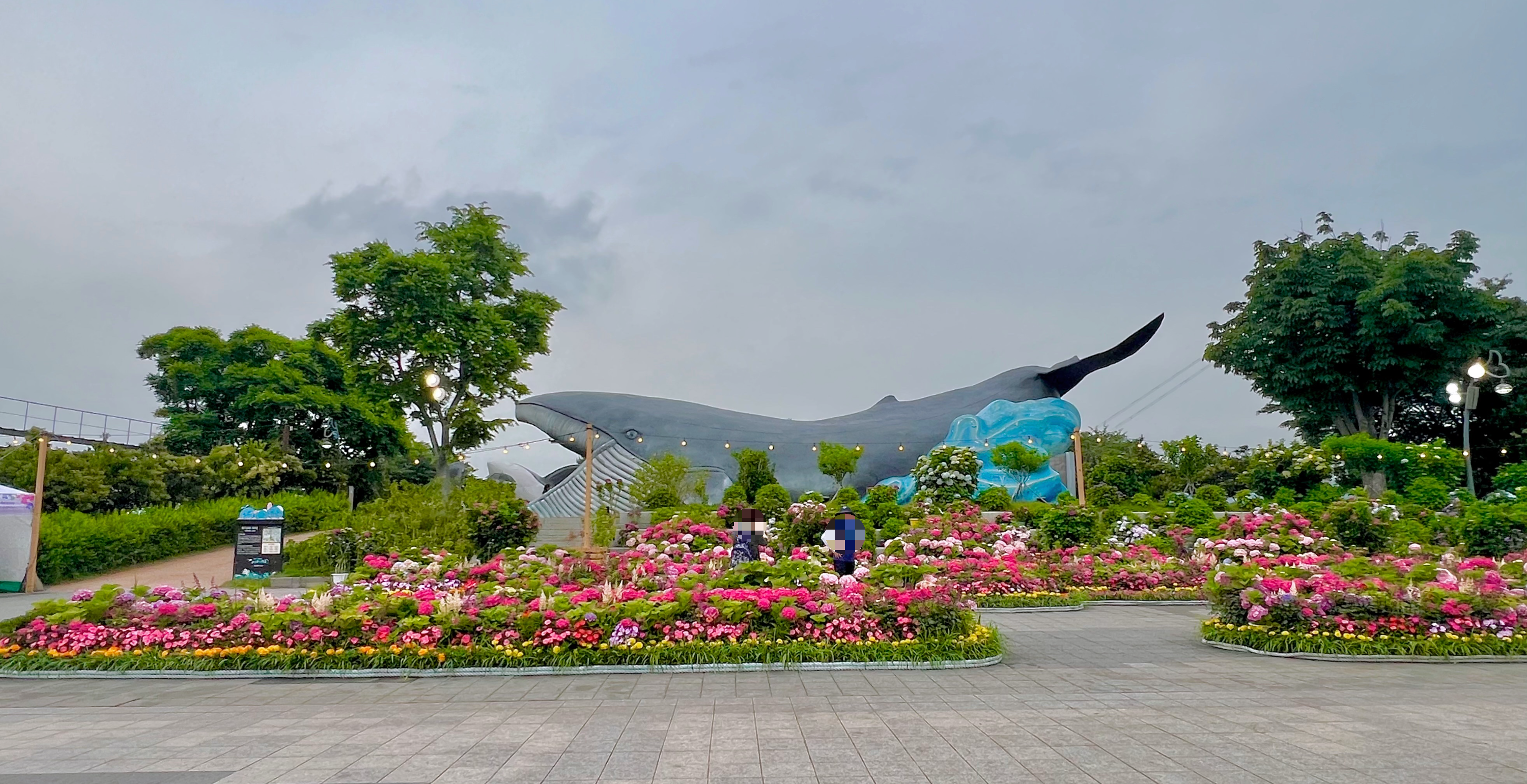 #장생포수국축제
#울산수국축제
#고래문화마을
#울산장생포가볼만한곳
#장생포포토존
#고래광장수국길
#오색수국정원
#수국축제개화상황2025
#수국사랑상품권사용처
#울산6월축제
#장생포여행코스
#울산플리마켓체험
#울산데이트코스
#울산여행추천
#장생포주차정보
#수국포토존#고래광장#고래광장포토존