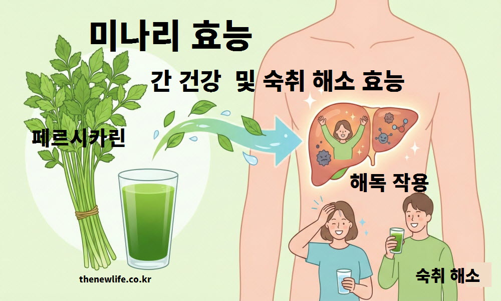 미나리 효능 중 간 건강 및 숙취 해소 효과를 설명하는 인공 이미지