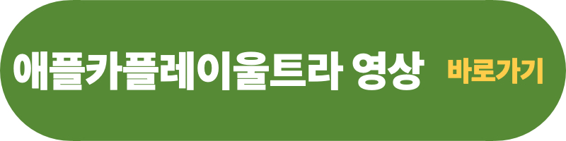 애플카플레이-울트라-영상