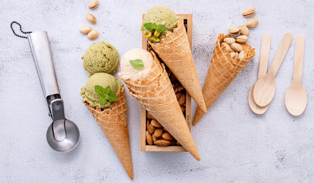 베라31 사전예약