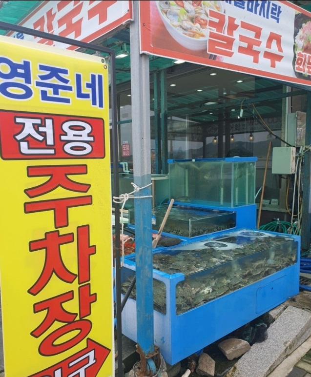 보령-백동하-새우탕-영준네-횟집