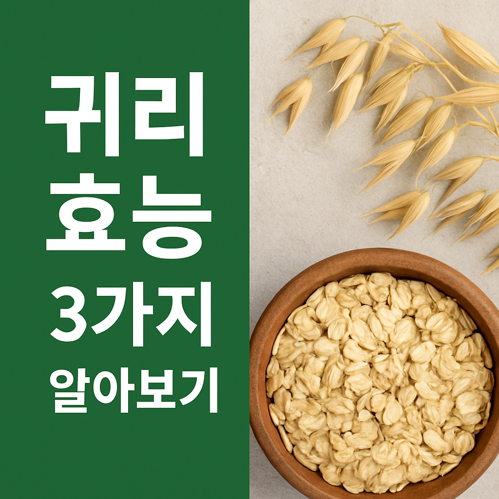 귀리 효능 - 썸네일