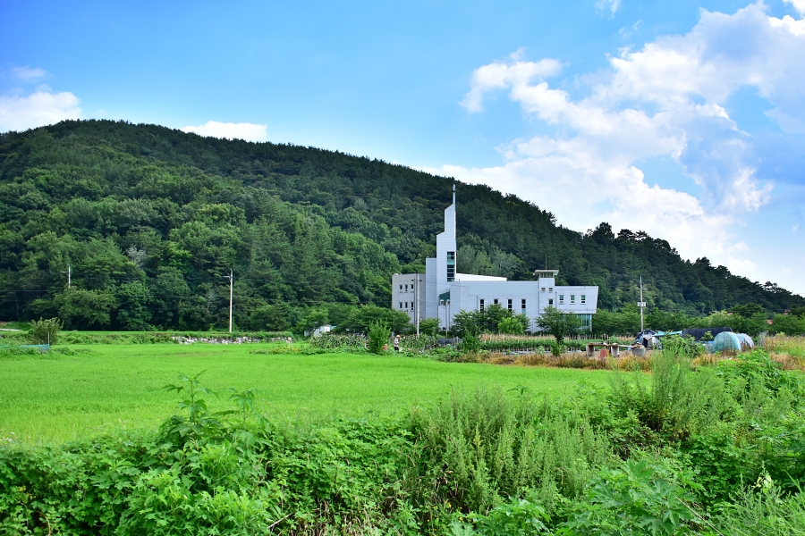시골 교회 여름 풍경