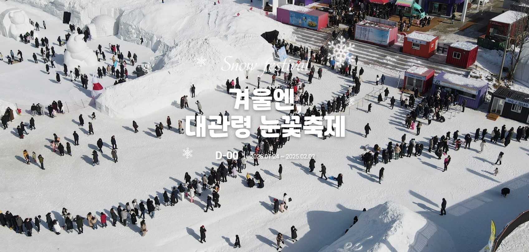 2025 대관령눈꽃축제 완벽가이드 - 무료주차부터 꿀팁까지 총정리