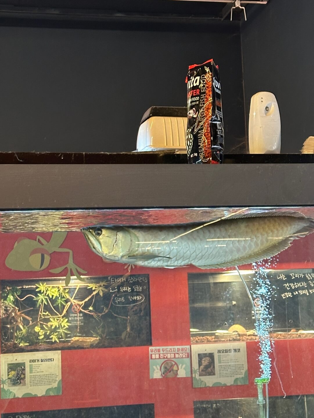 하남 쥬라리움 물고기 수조