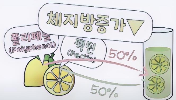 레몬물의 효능 독소제거