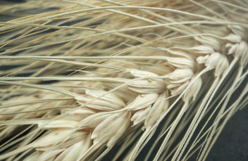 변비에 좋은 음식 변비해결방법