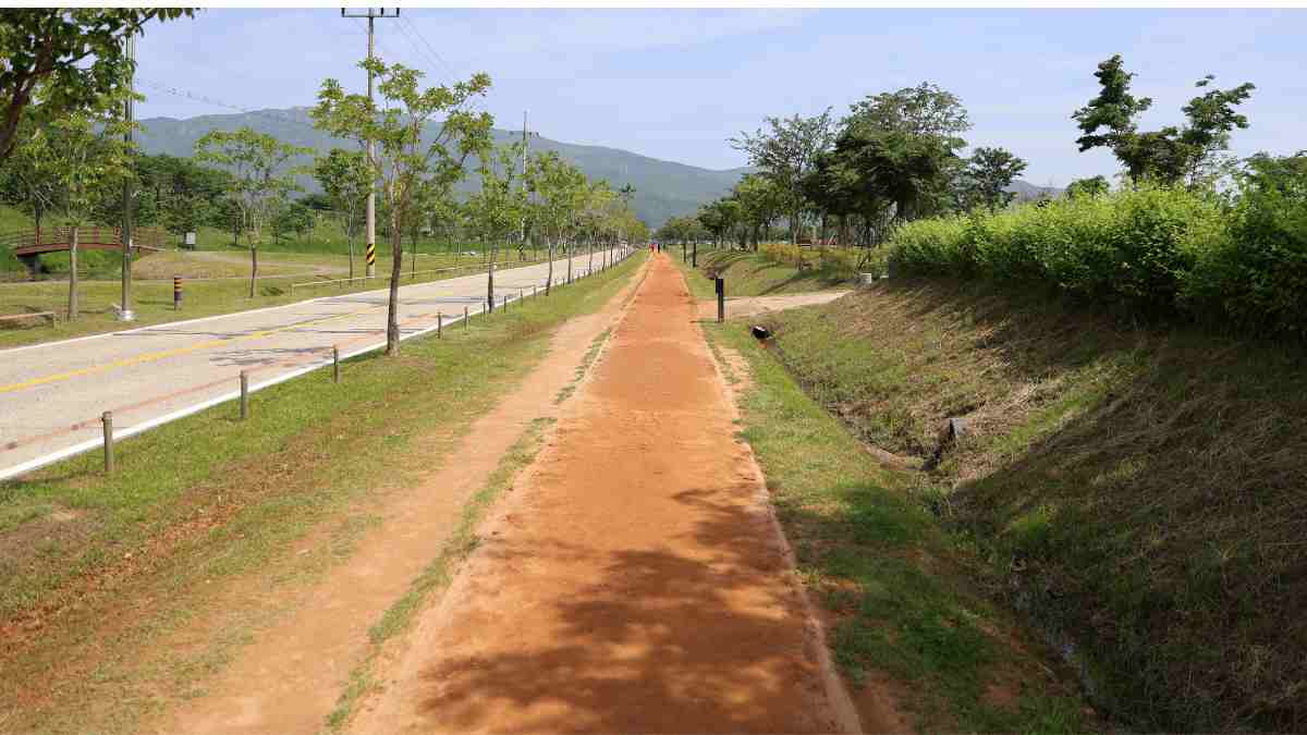 걷기의 힘, 산책로 여행이 주는 치유와 힐링