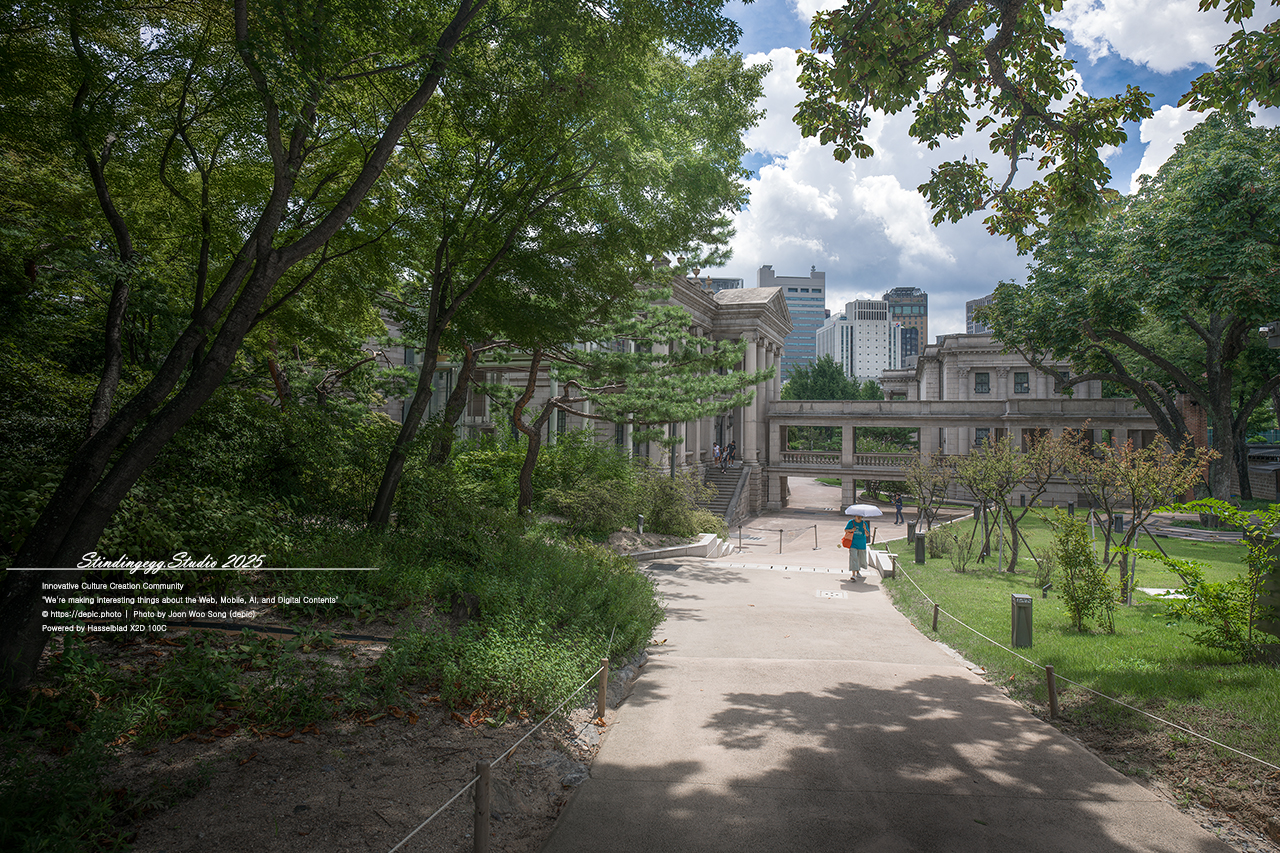 #서울 #대한제국 #덕수궁 #궁궐 #배롱꽃