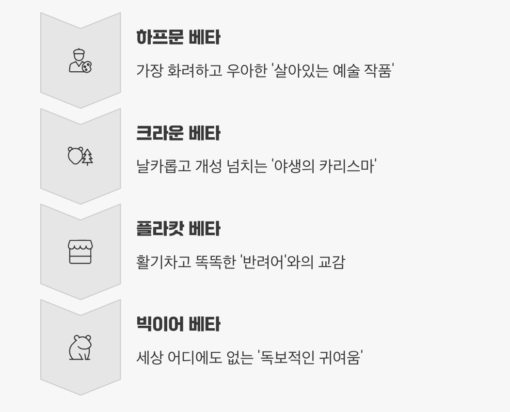 당신의 '원픽'은? (최종 선택 가이드)