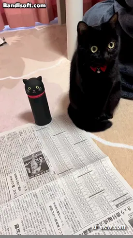 img.webp?credential=yqXZFxpELC7KVnFOS48ylbz2pIh7yKj8&expires=1767193199&allow_ip=&allow_referer=&signature=4ZP8Ckl3u2GTvb4N1Qz%2FSRQxVYU%3D