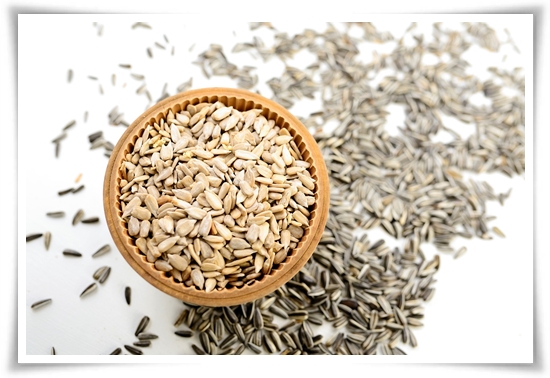 여름의 상징 희망과 사랑의 꽃 &quot;해바라기&quot;