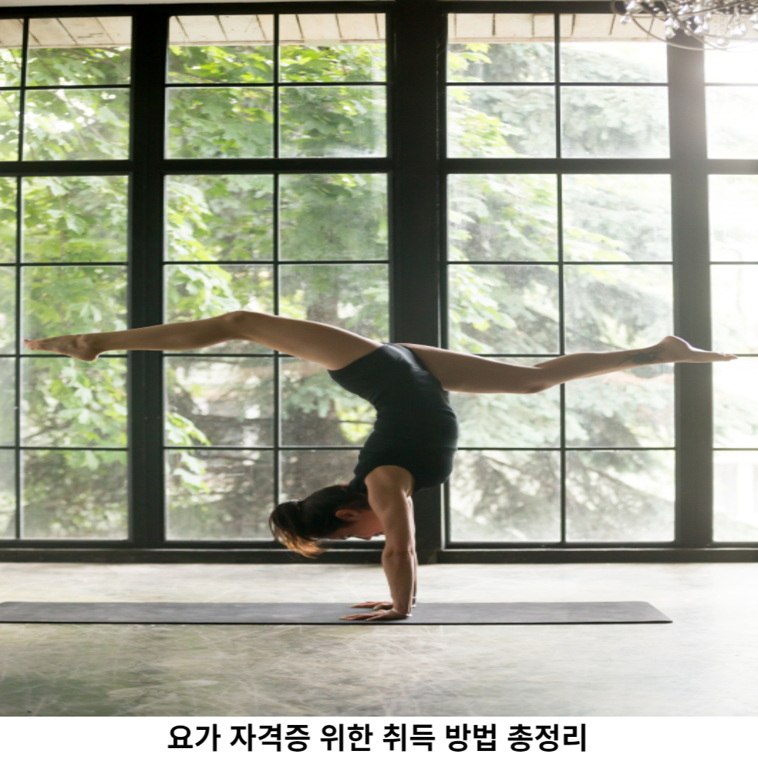 요가 자격증 전문가 되기 위한 첫 걸음