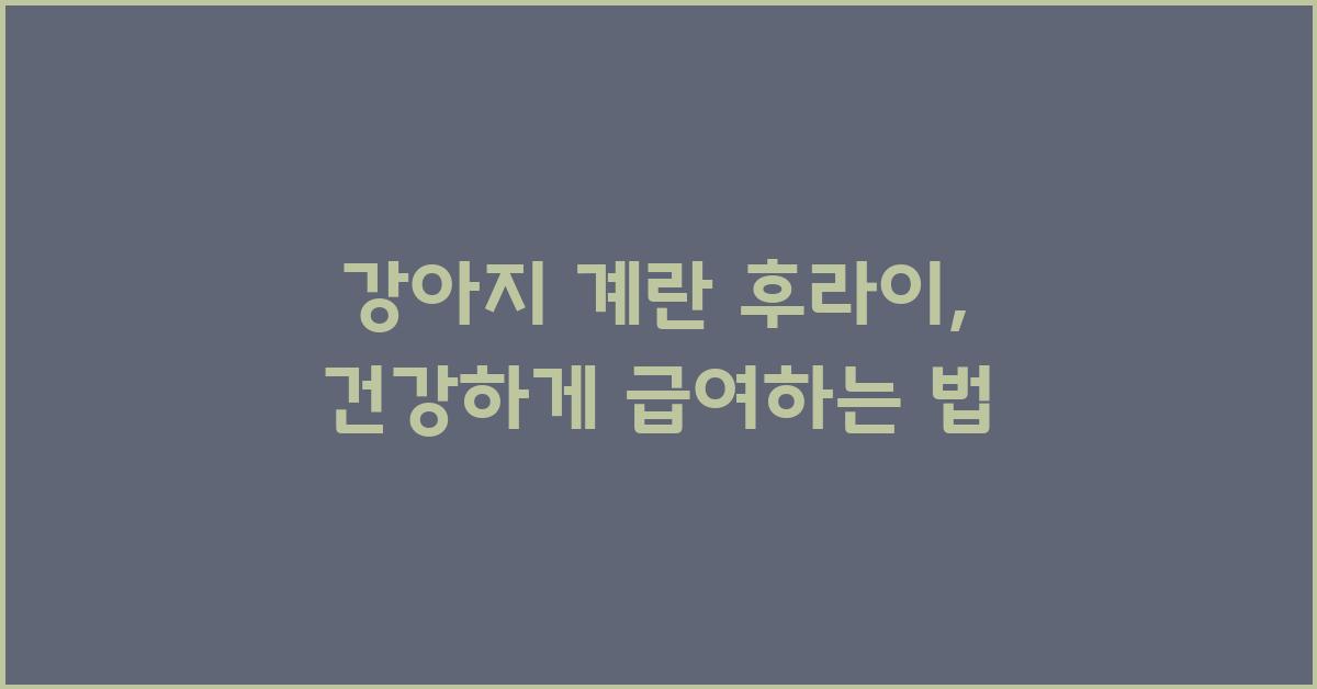 강아지 계란 후라이