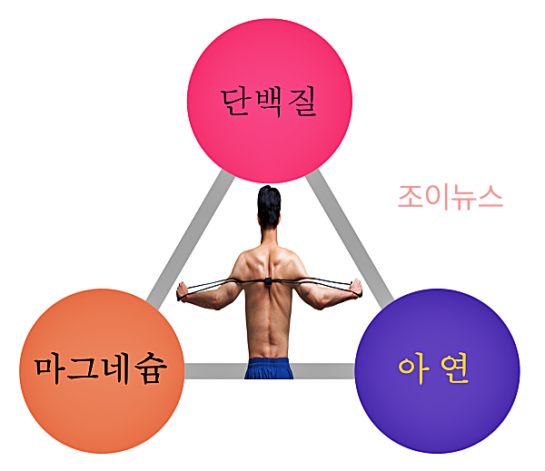운동을 즐기는 남성에게 필요한 영양소