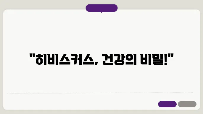 히비스커스의 고유한 효능