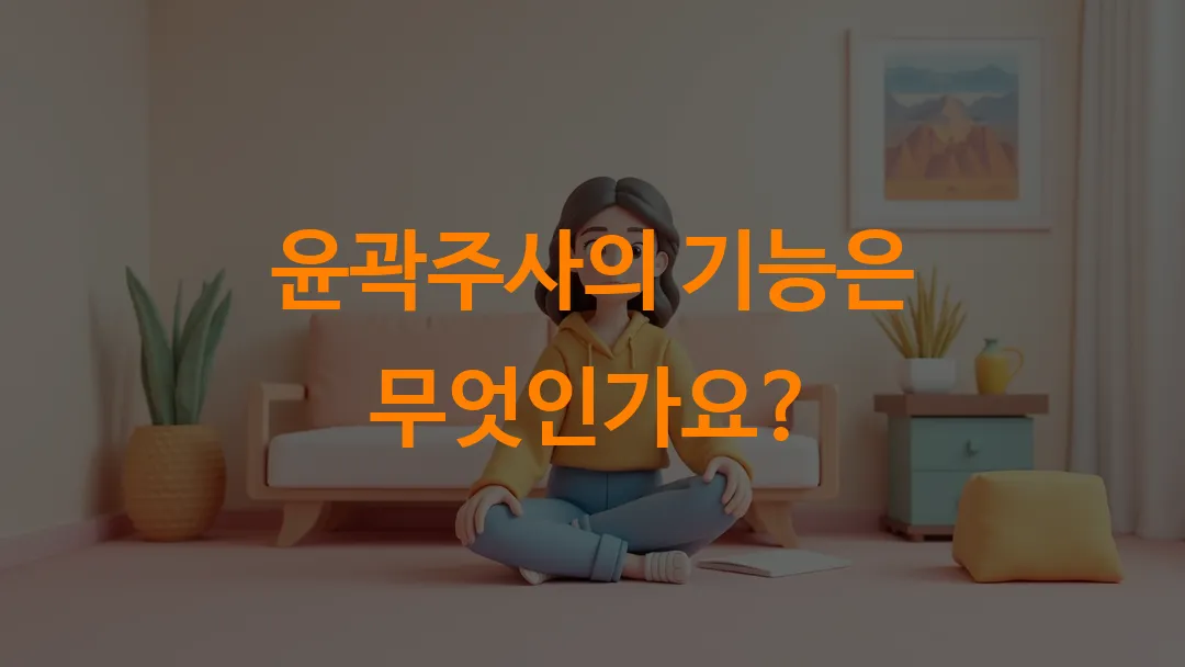 윤곽주사 효과와 기능 완전정리