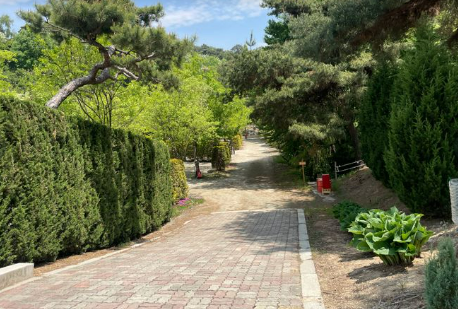 파이브이모션 캠핑장 B존