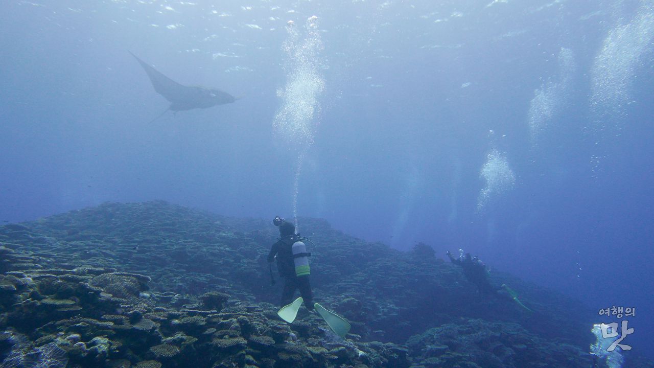 이시가키 스쿠버다이빙