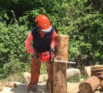 산림기능사 응시자격_5