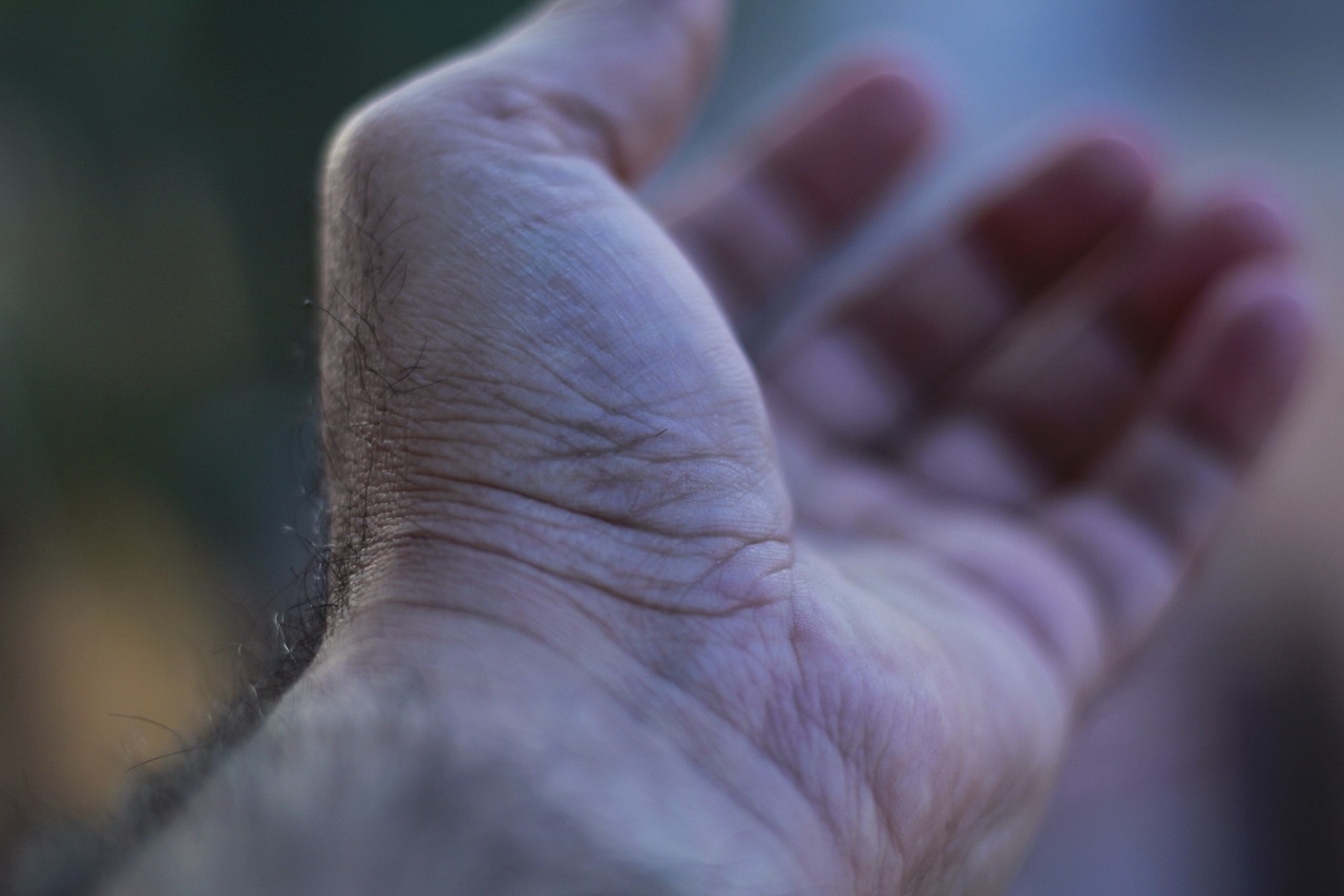 손과 손목의 근골격계: 미세한 움직임의 비결