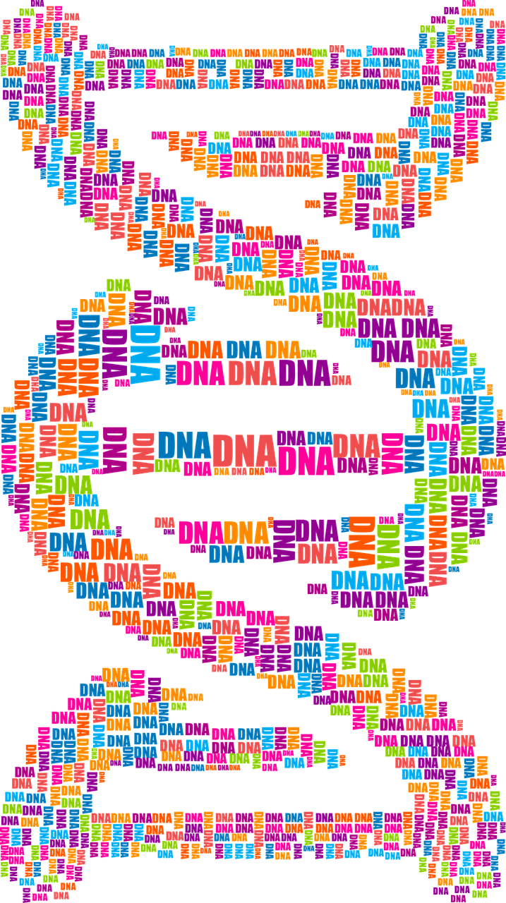 DNA