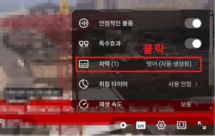 메뉴창에 자막 메뉴 보임