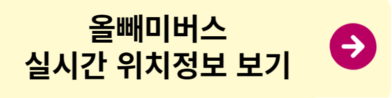 올빼미 버스 위치