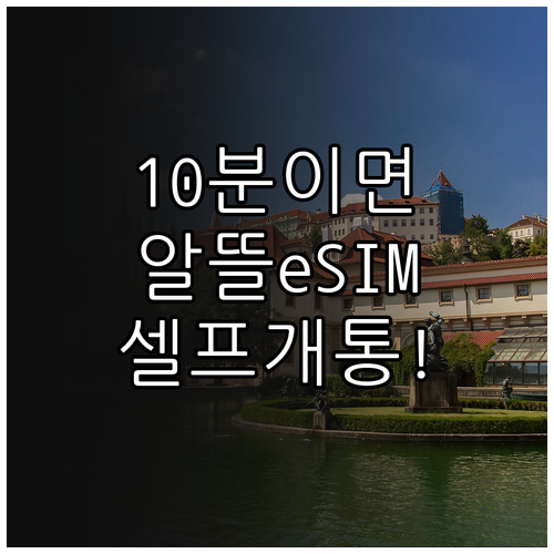 집에서 10분 완성 알뜰폰 eSIM ..