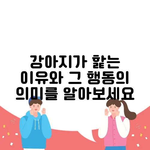 강아지가 핥는 이유와 그 행동의 의미를 알아보세요