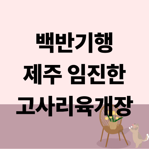 백반기행 제주 고사리육개장 임진한